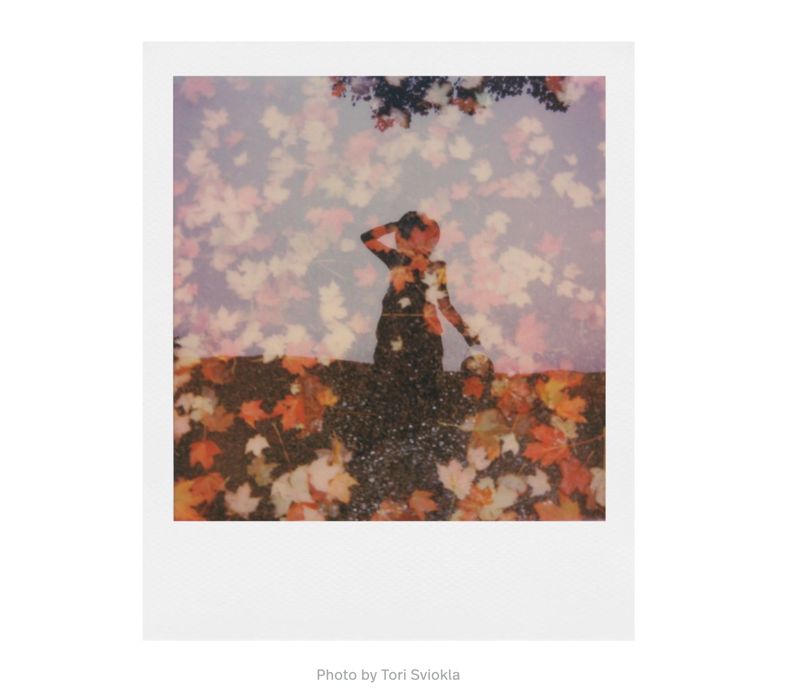 polaroid-i-type-colour-sofortbildfilm-doppelpack-16-bilder image 2