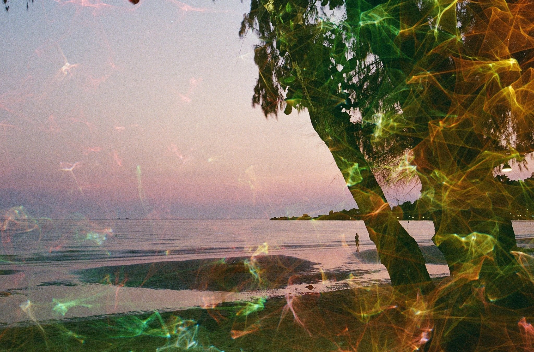 revolog-echo-effektfilm-35mm-36er-farbverschiebung image 8