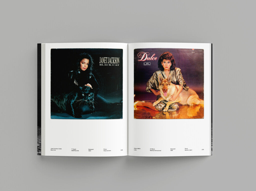 alberto-vieceli-pet-sounds-bildband-plattencover-320-seiten image 4