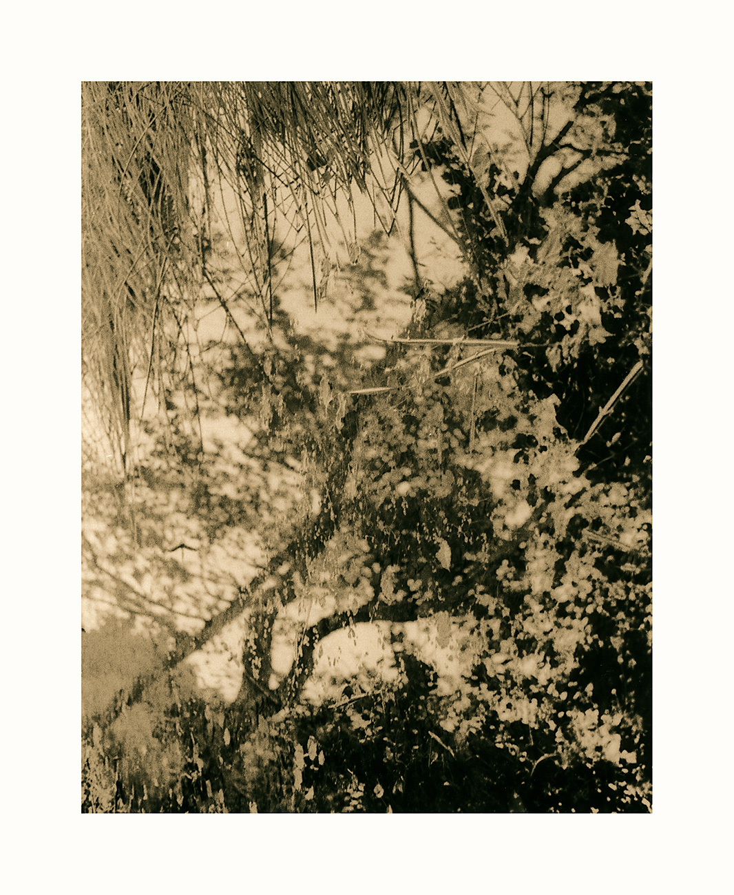 moersch-lith-g-zweitentwickler-lithentwickler-glycin-farbig image 3