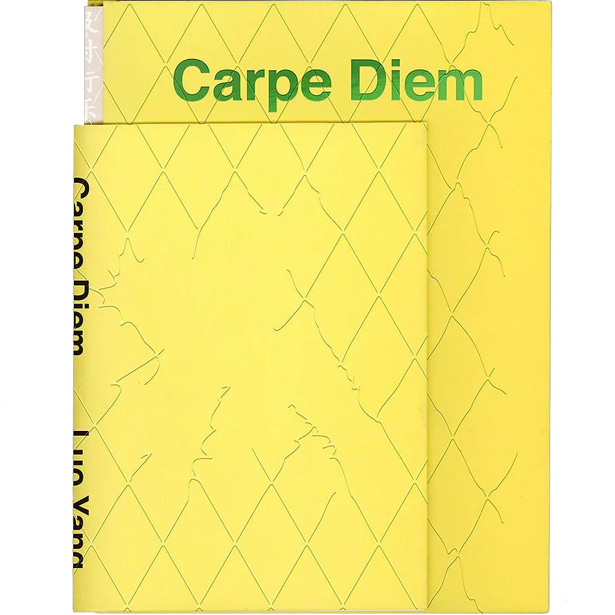 dubblefilm-books-carpe-diem-luo-yang-fotobuch-portr-ts-generation-z image 1