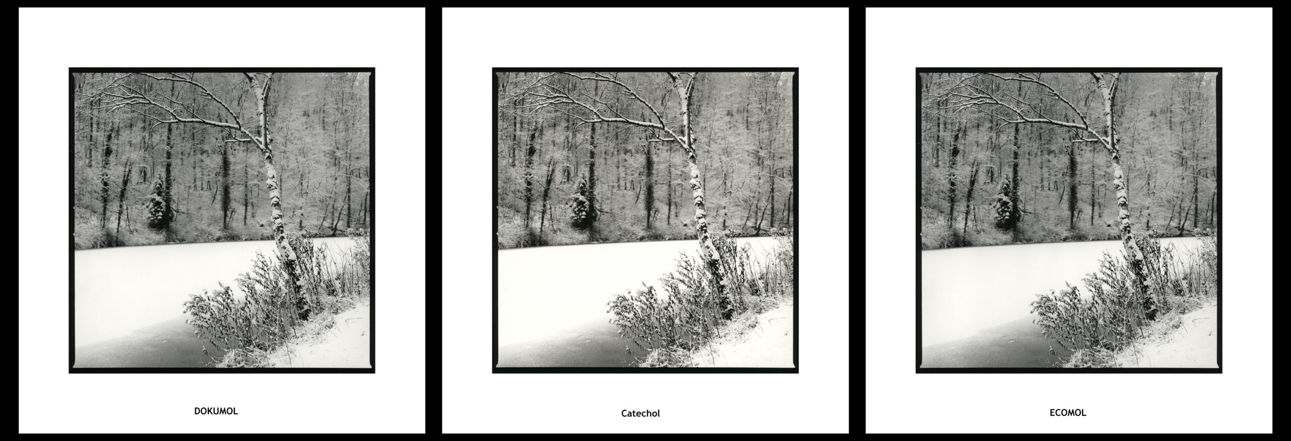 moersch-se-ecomol-papierentwickler-kontrastreich-1l-neutral image 3