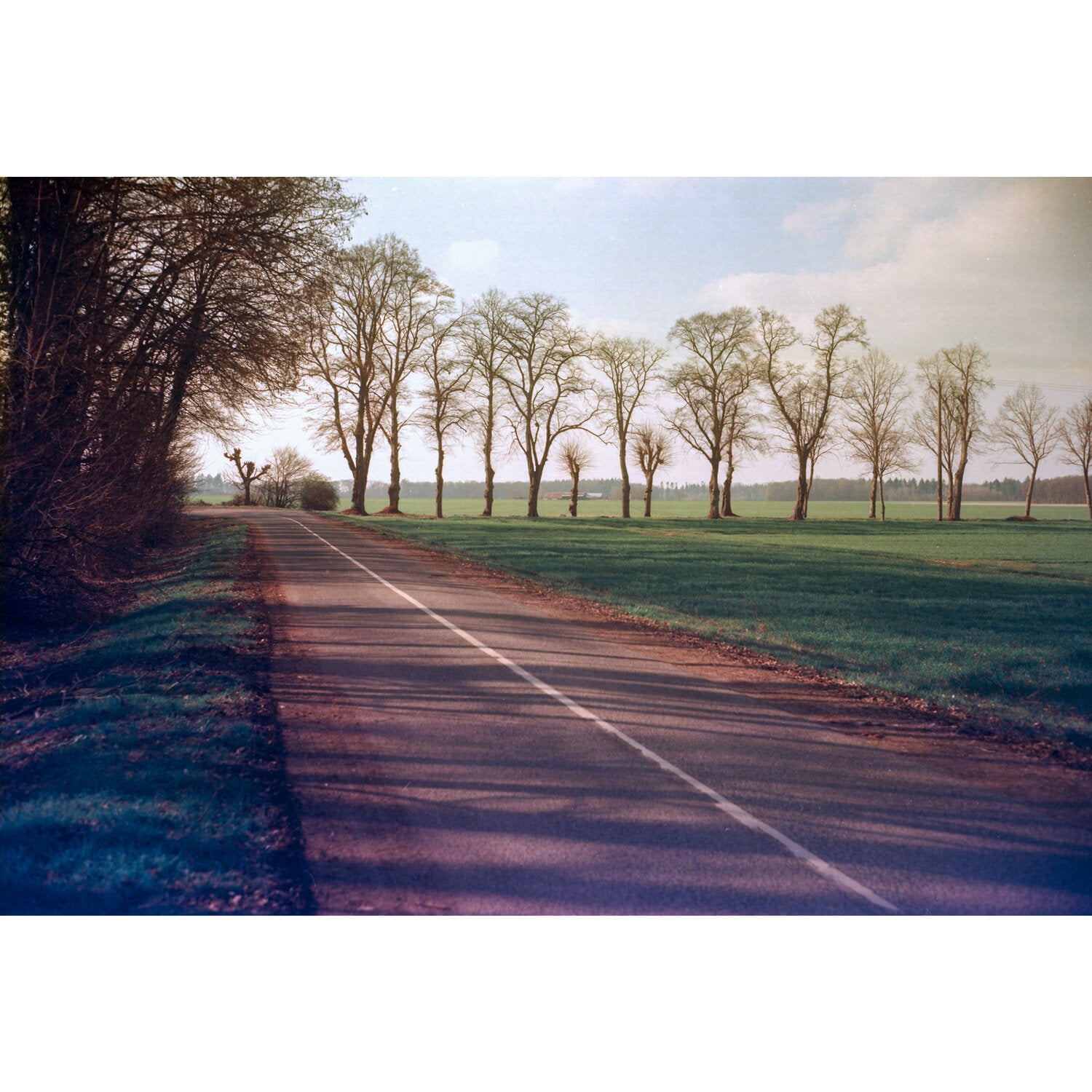 kono-delight-art-100-rollfilm-120-iso-100-effekt image 2