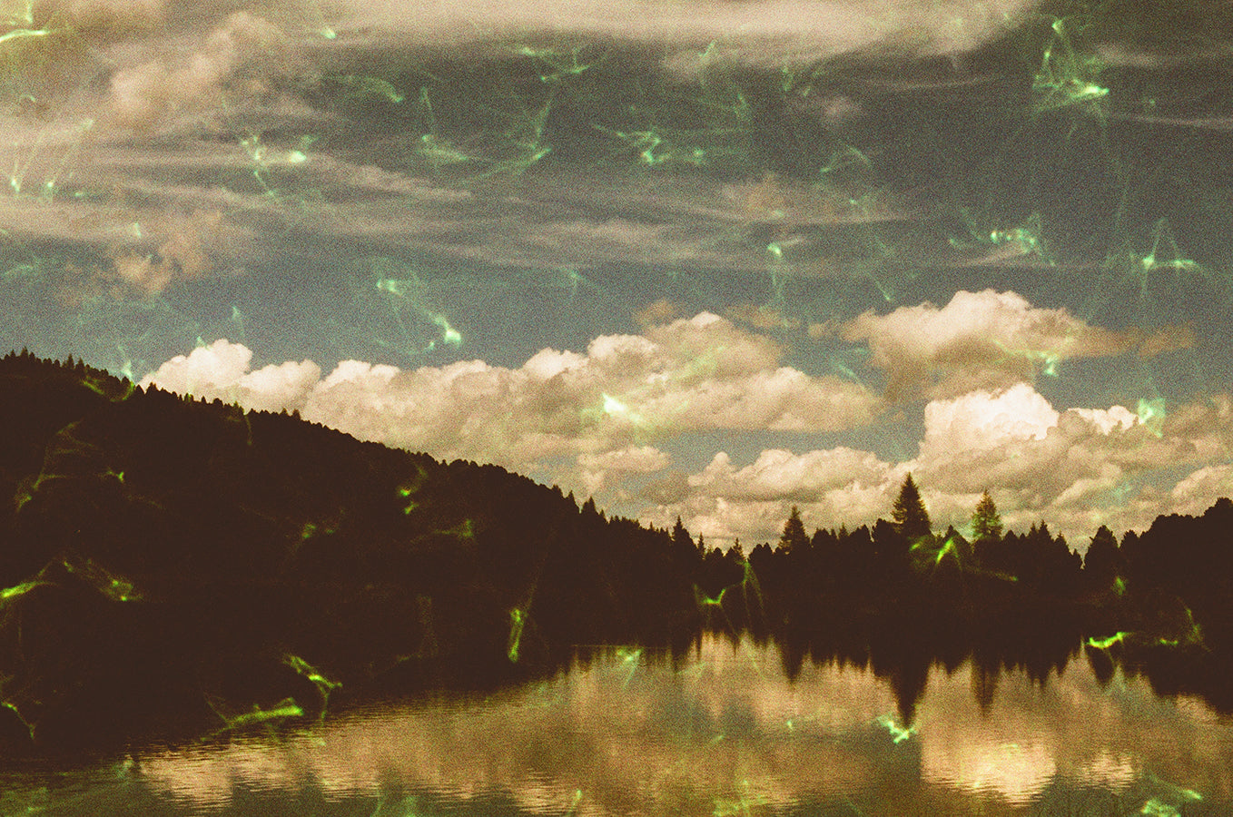 revolog-emerald-effektfilm-35mm-200-iso-c-41-limitiert image 6