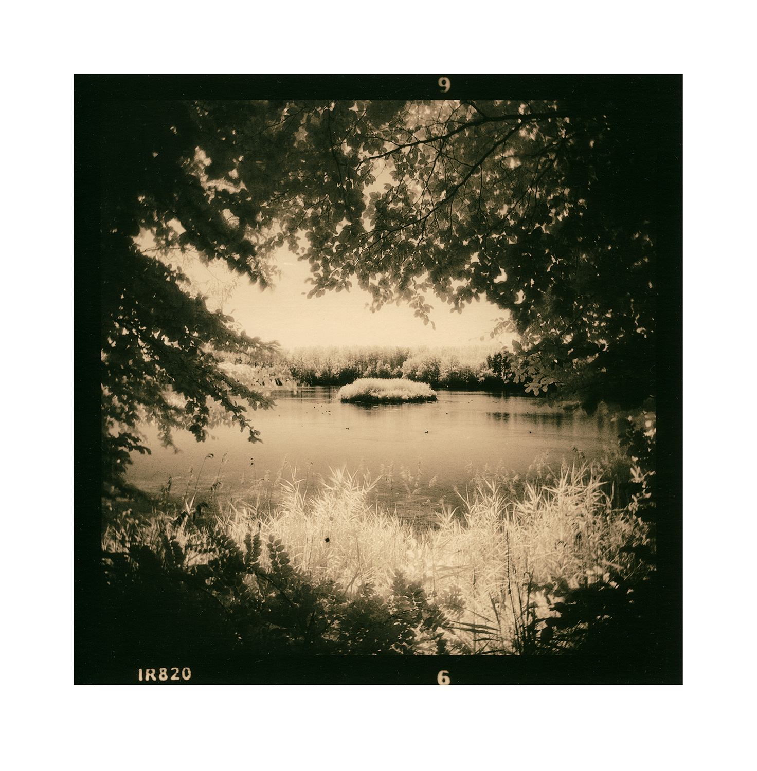 moersch-lith-se15-polychrome-positiventwickler-kit-farbige-t-ne image 8