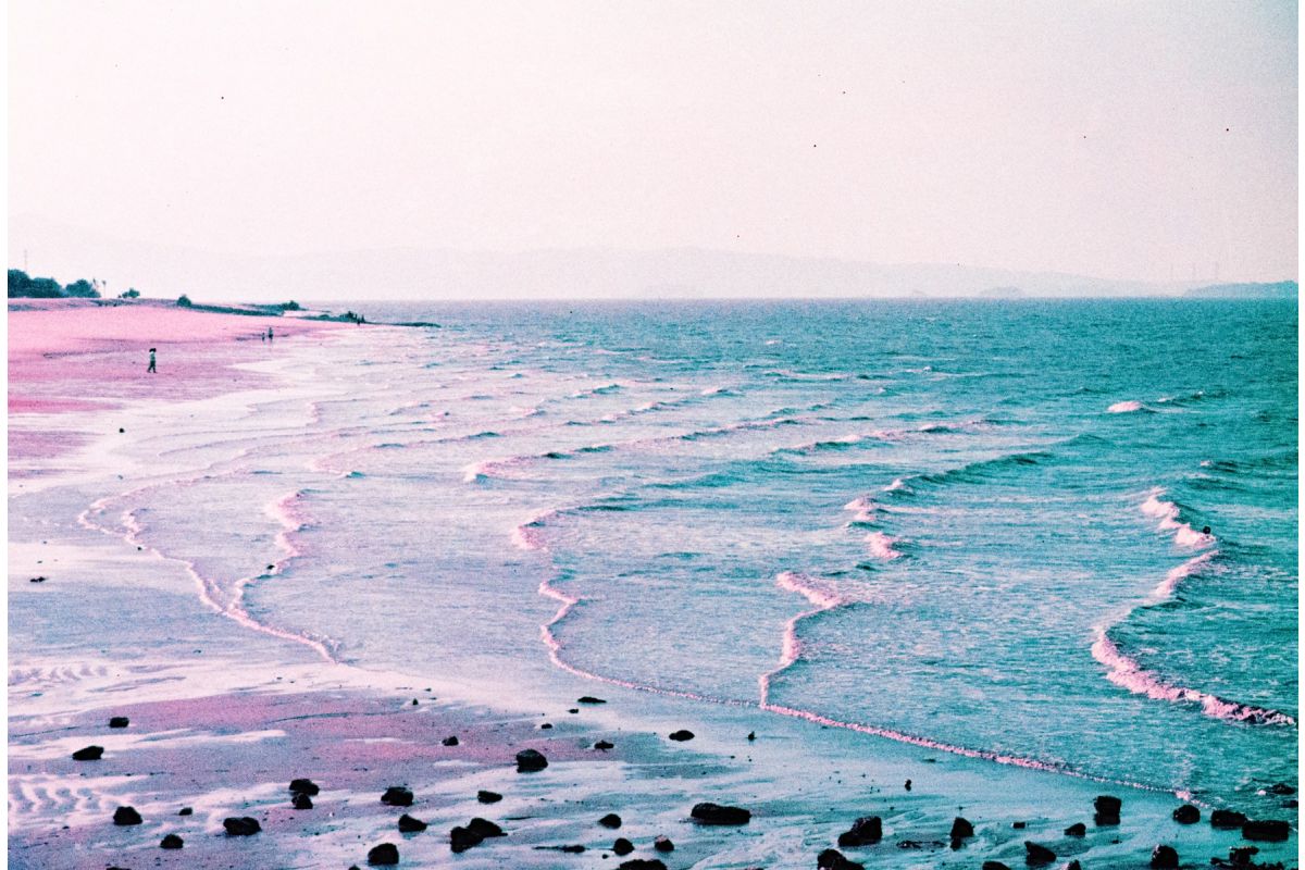 lomography-lomochrome-purple-135-farbfilm-35mm-p-tillant image 7
