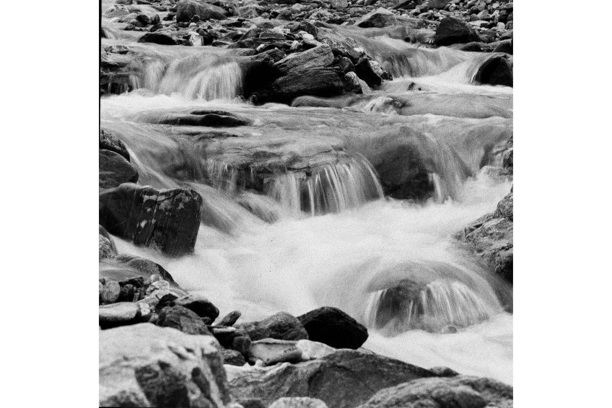 lomography-lady-grey-400-sw-rollfilm-120-3er-pack-iso-400 image 3