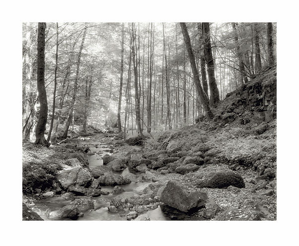 moersch-se1-sepia-positiventwickler-warmton-konzentrat image 6