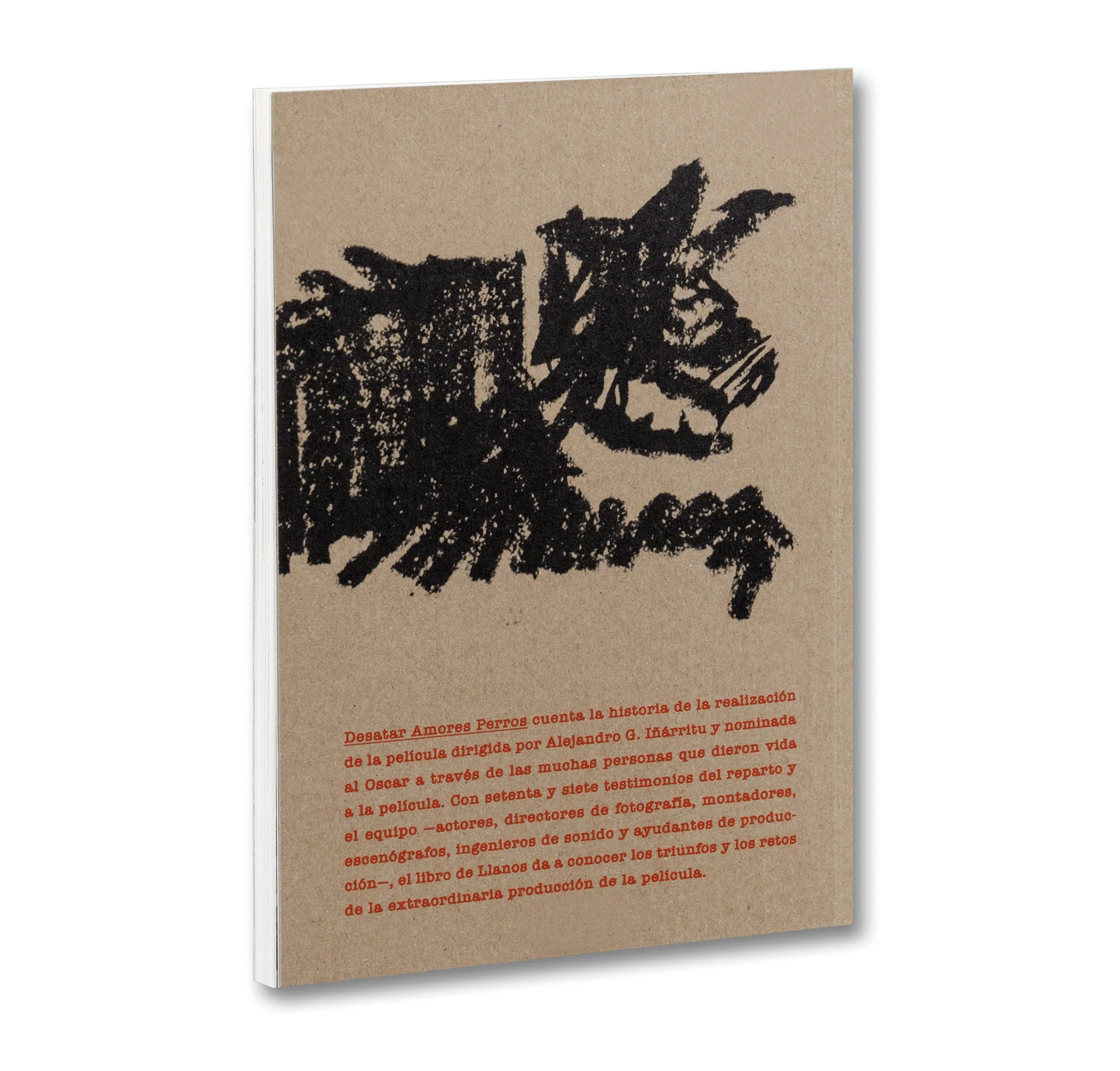 desatar-amores-perros-filmbuch-spanisch-i-rritu image 5