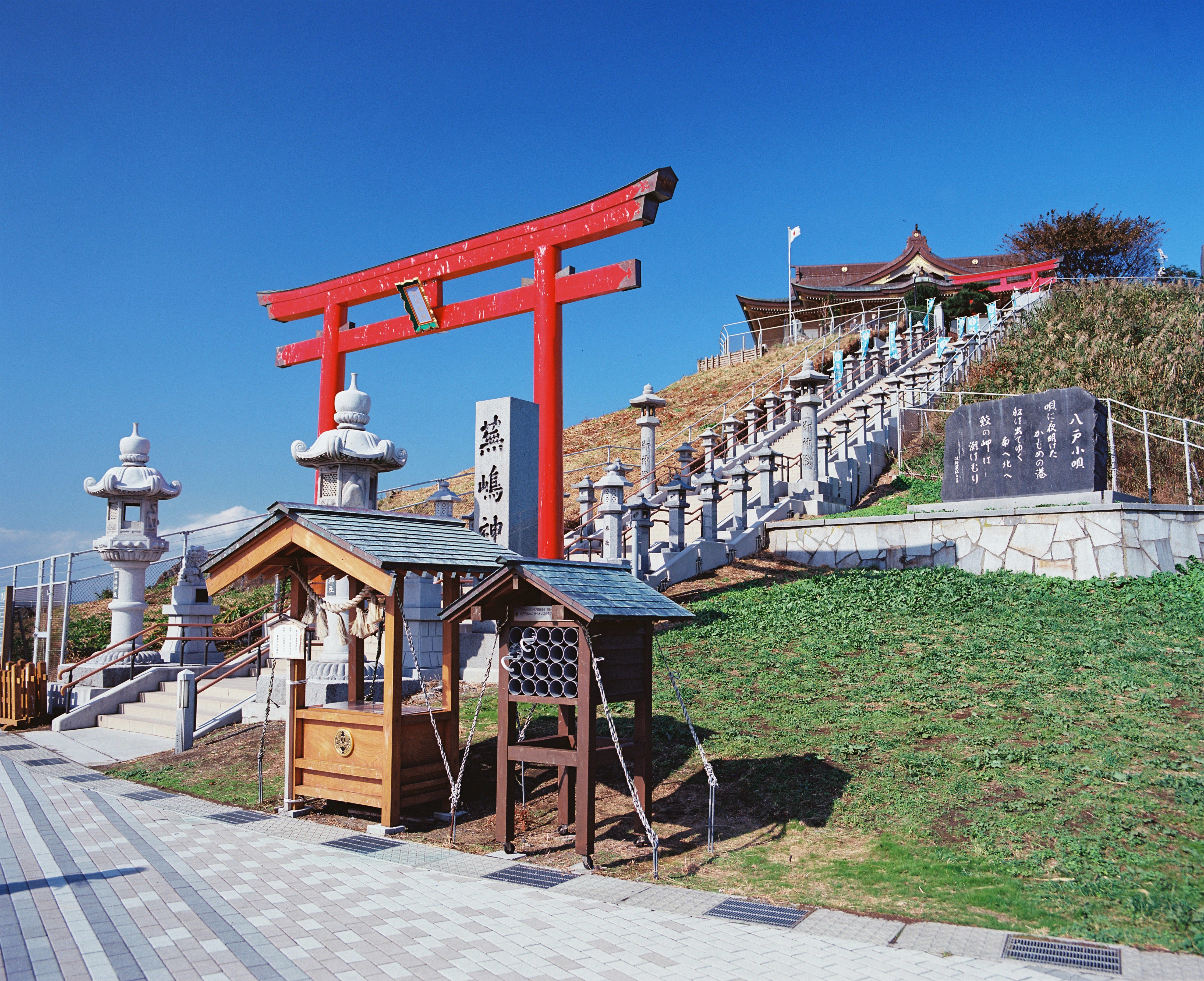 kodak-ektar-100-120-rollfilm-farbnegativfilm-mittelformat image 2