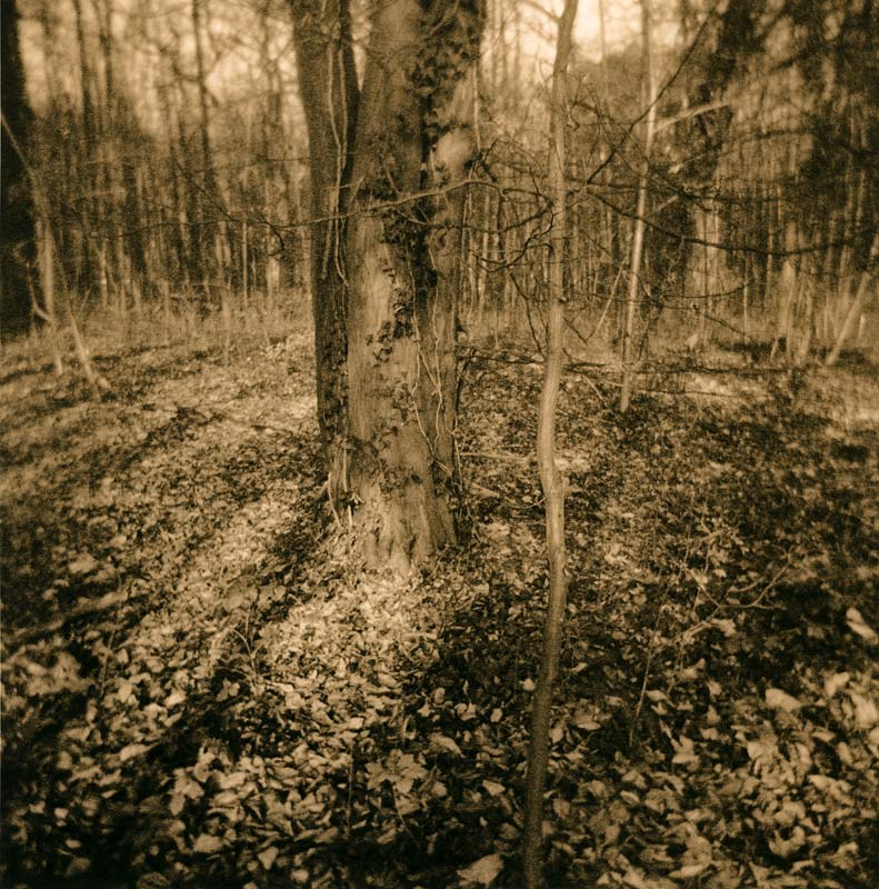 moersch-lith-kit-omega-lithentwickler-zweibad-set image 4