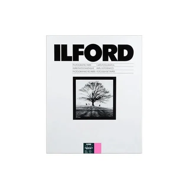 ilford-multigrade-rc-deluxe-fotopapier-24x30-5-gl-nzend-10-blatt image 1