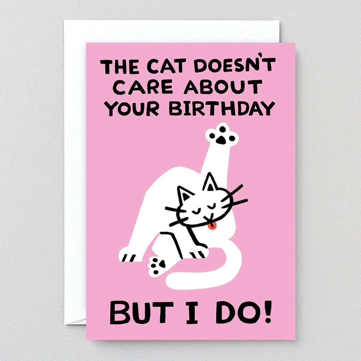 wrap-cat-doesn-t-care-gru-karte-pink-mit-umschlag image 1