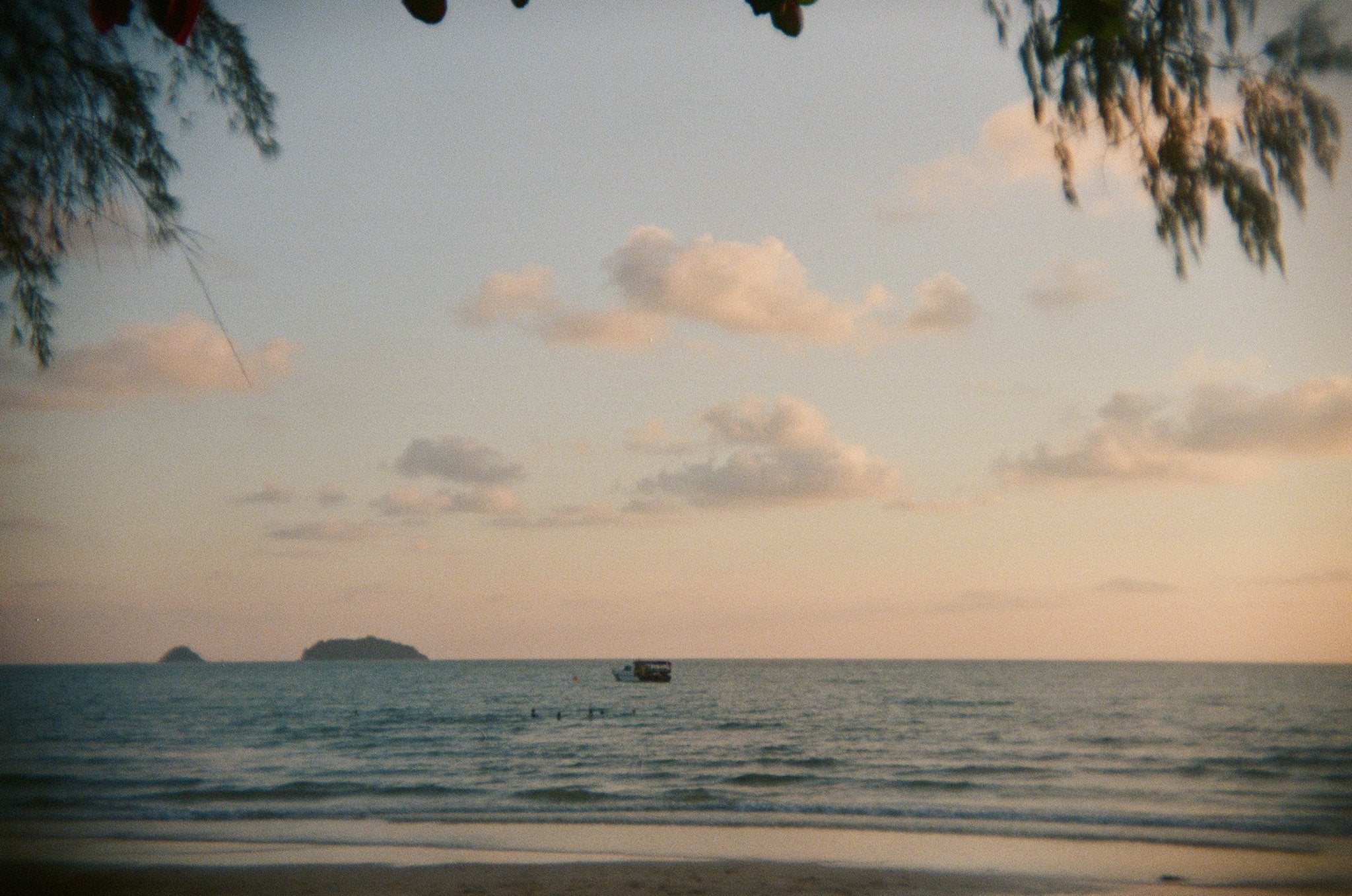 kodak-portra-800-35mm-farbfilm-800-iso-36-aufnahmen image 5