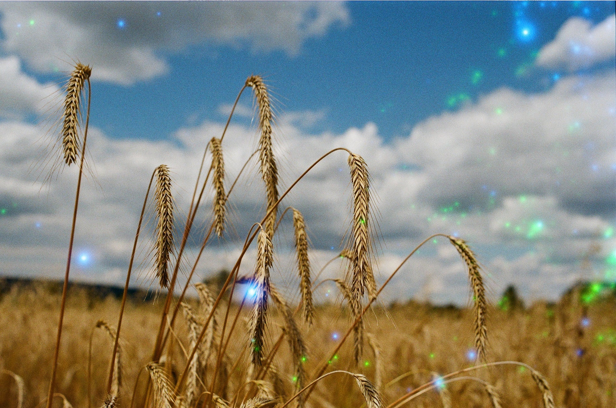 revolog-nebula-35mm-farbfilm-36-bilder-iso-200-effekt image 7