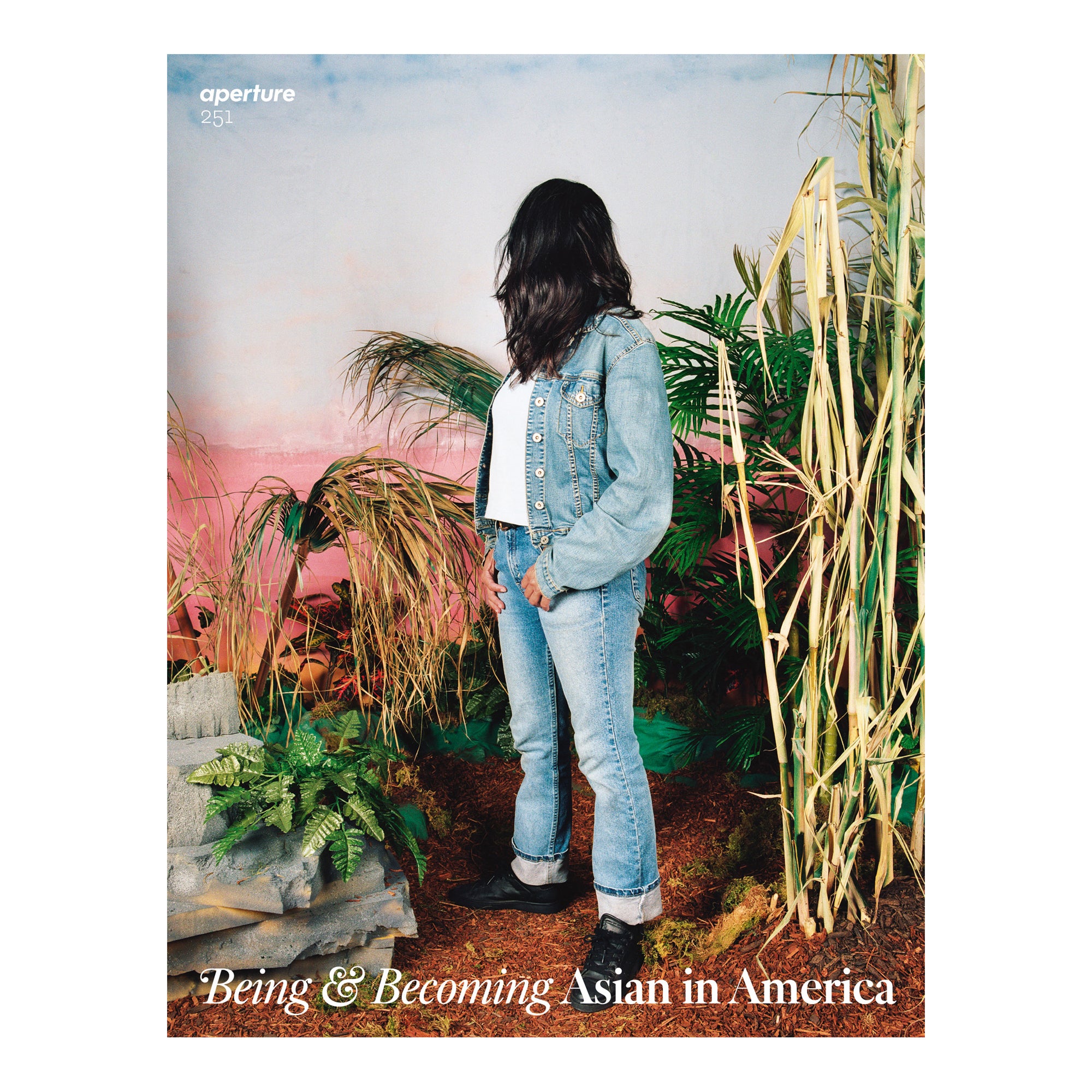 aperture-251-fotomagazin-being-becoming-asian-in-america image 1
