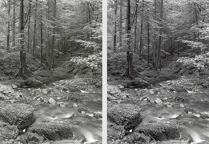 moersch-mt1-selentoner-fototoner-konzentrat-archivfest image 3