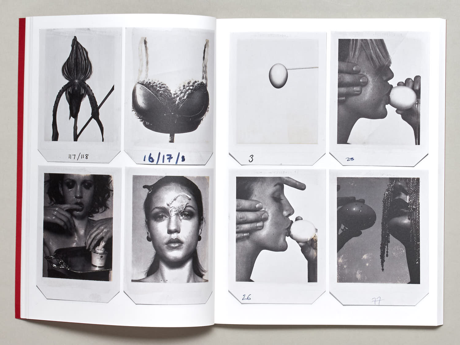 donna-trope-polaroids-fotobuch-beauty-portraits-bildband image 2