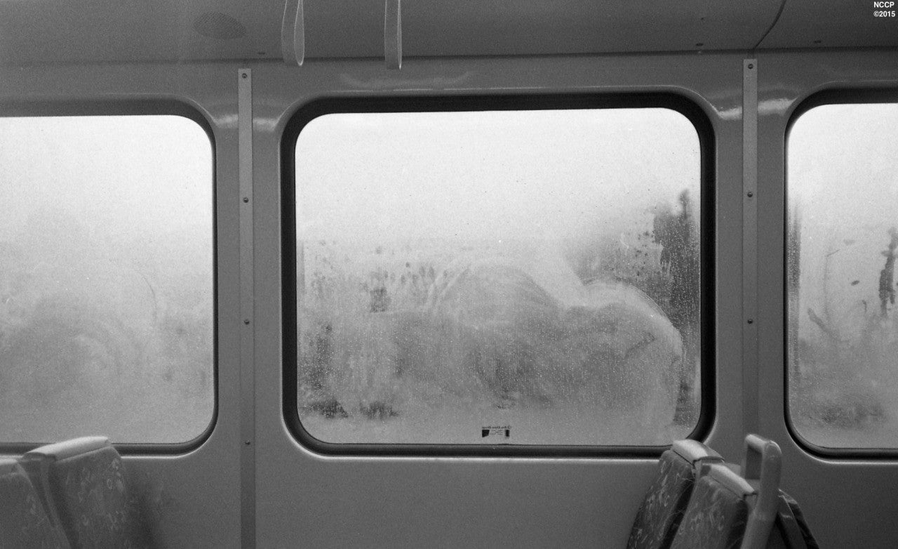 ilford-hp5-plus-schwarzwei-film-35mm-36-aufn-iso-400 image 4