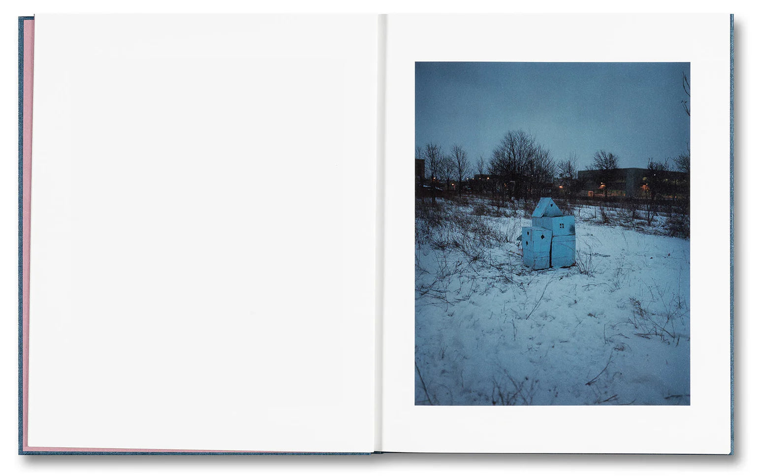 king-queen-knave-gregory-halpern-fotobuch-112-seiten image 3