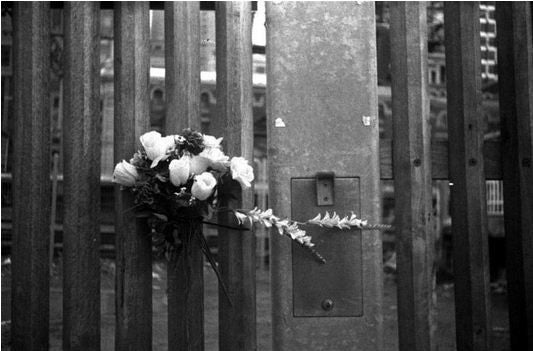 ilford-hp5-plus-schwarzwei-film-35mm-36-aufn-iso-400 image 2