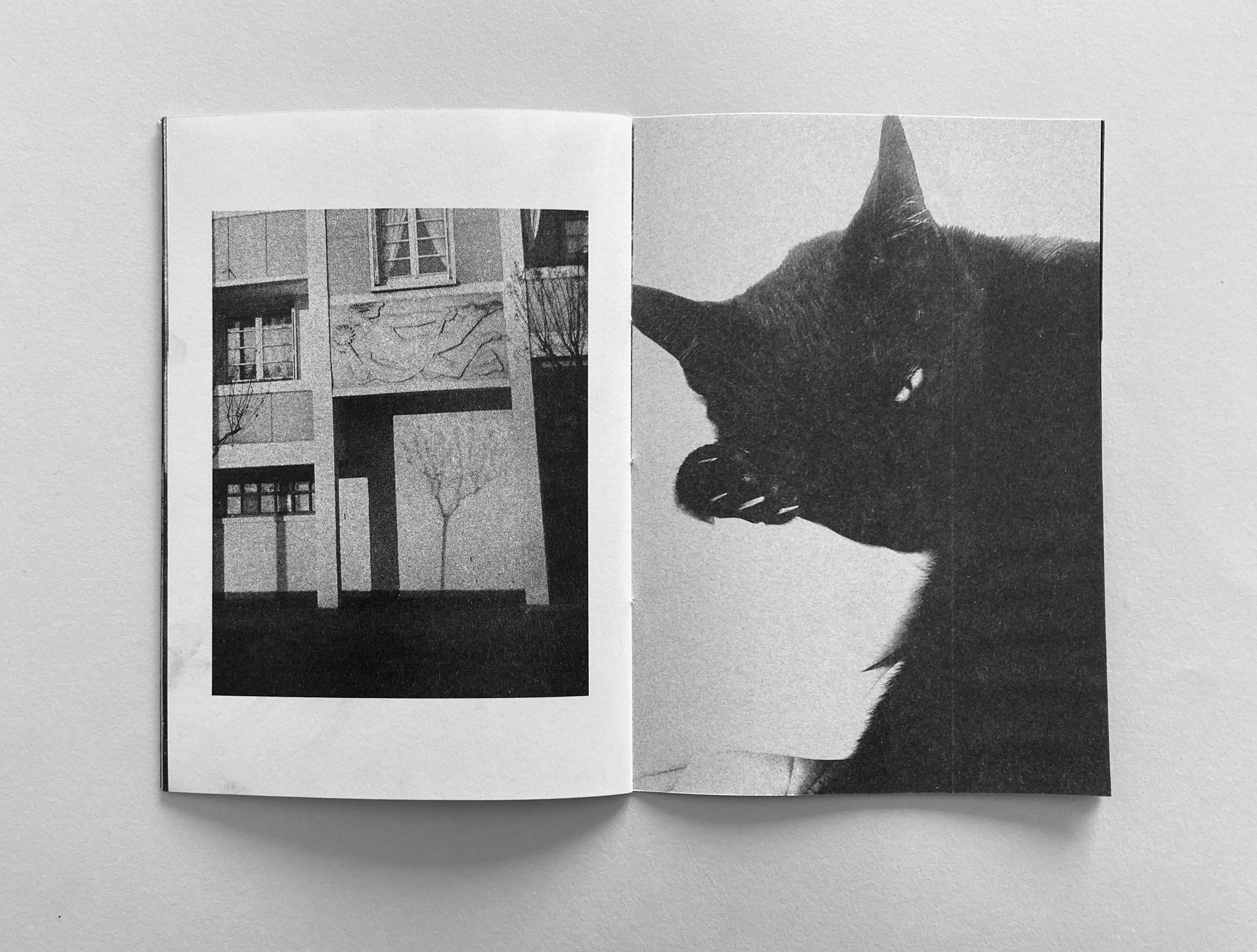 dubblefilm-books-toute-entiere-zine-riso-edition-50 image 4