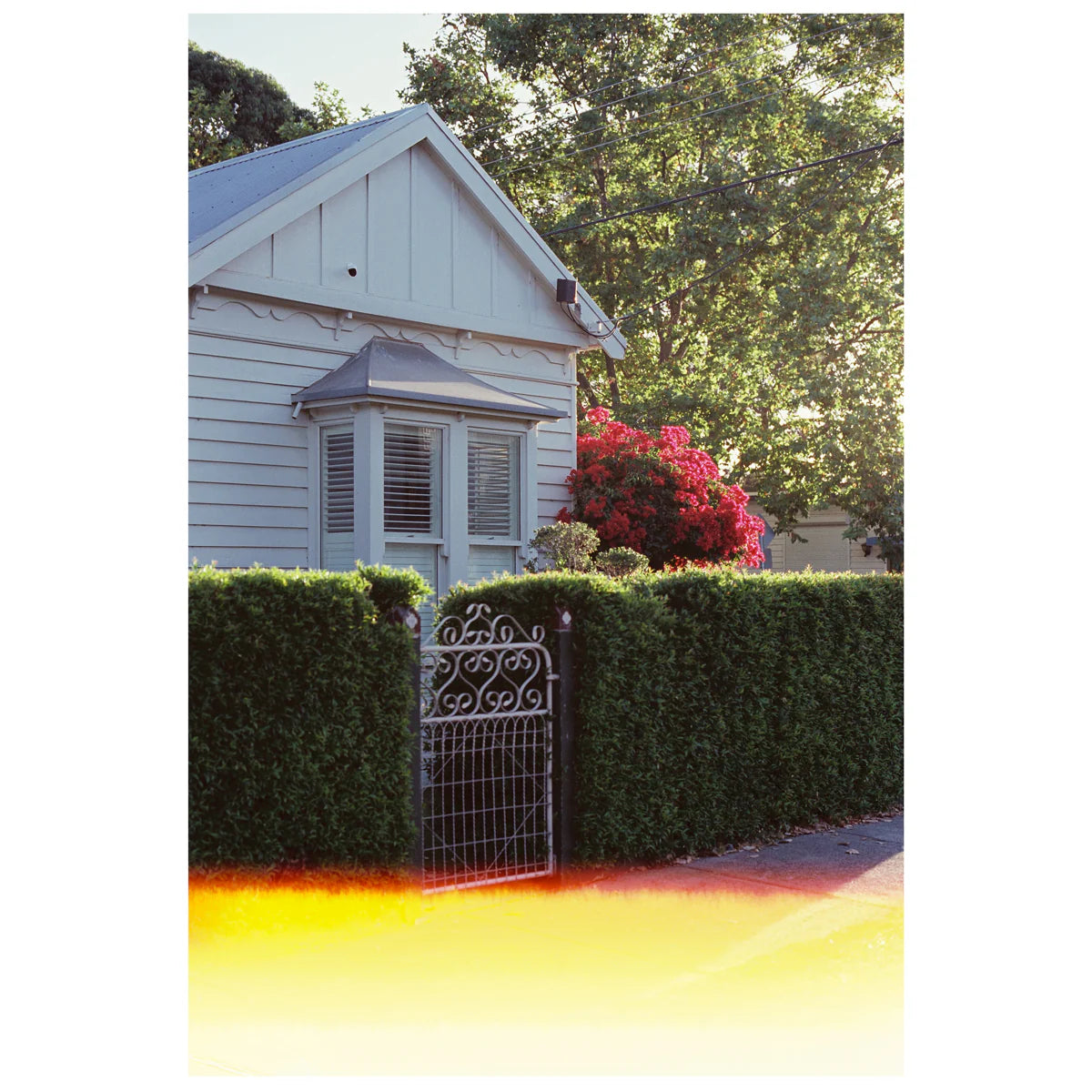 fujifilm-eterna-250d-kleinbildfilm-35mm-36-cinefilm image 3