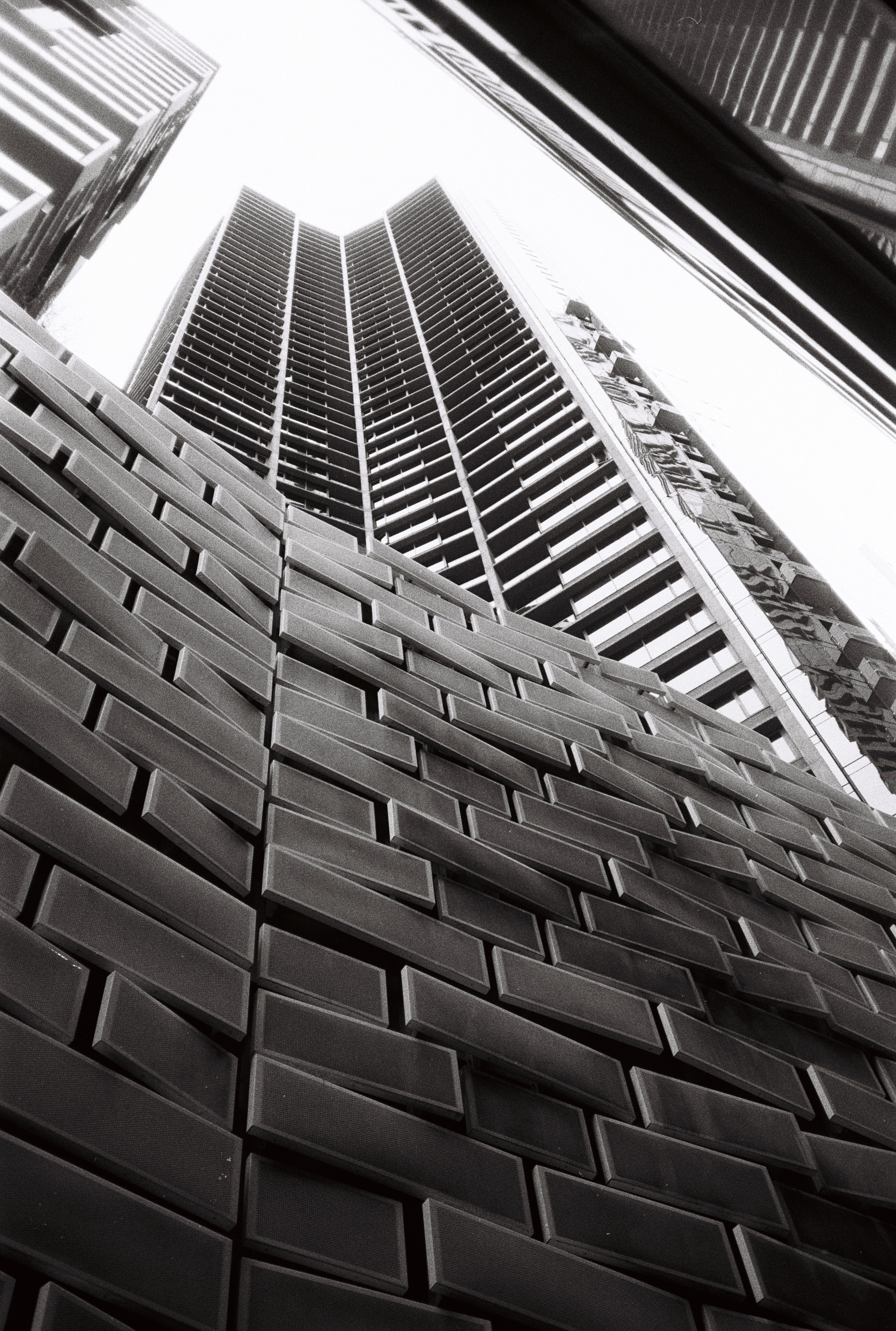 filmneverdie-filmentwicklung-c41-35mm-entwicklung-und-scan image 2