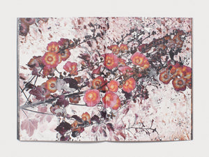 dubblefilm-kristina-18-kristina-podobed-fotobuch-softcover image 4