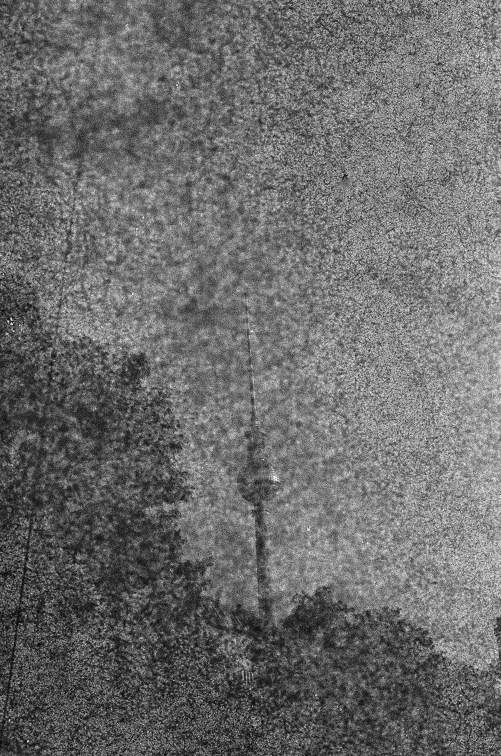 revolog-paper-35mm-schwarzwei-film-400-iso-36-au image 6