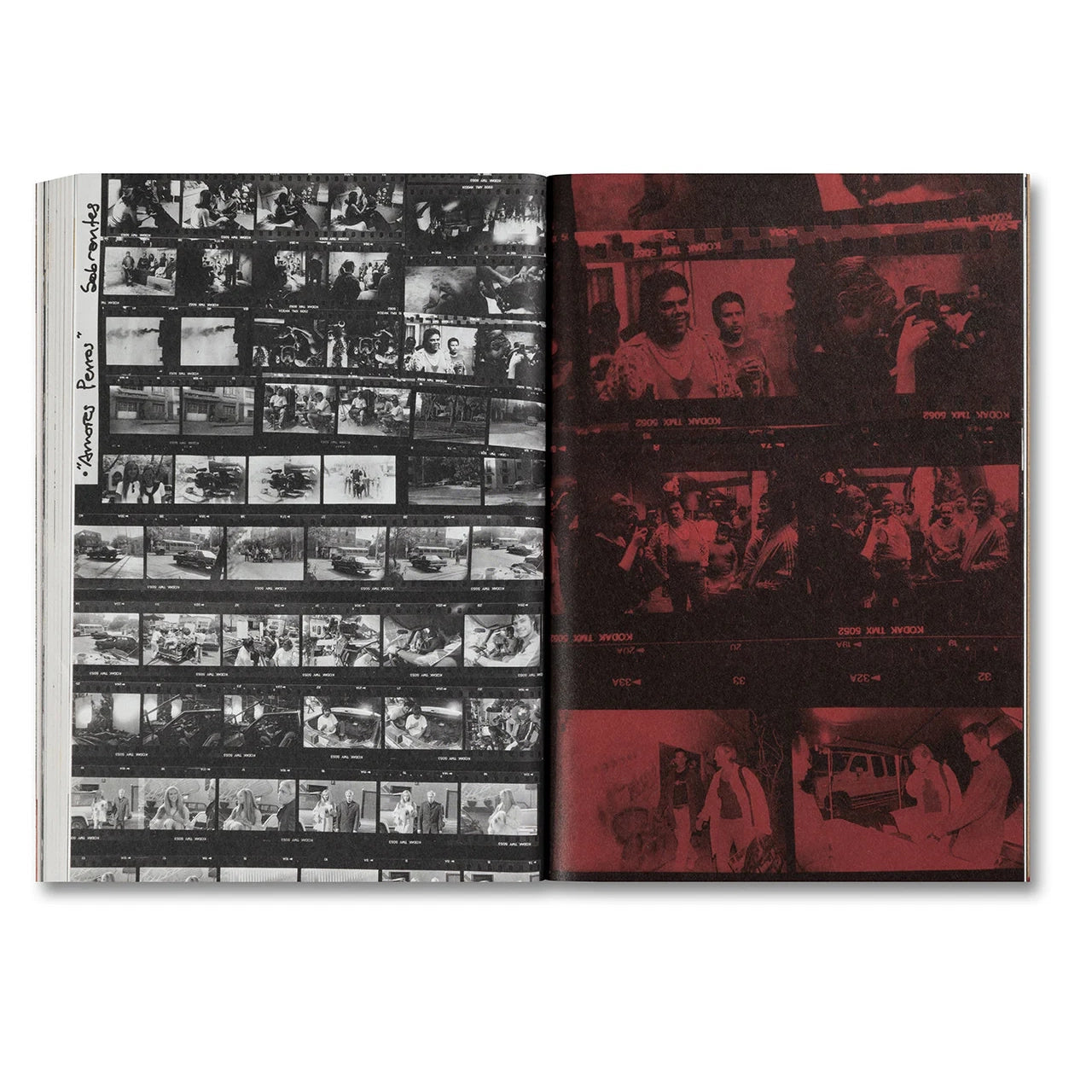 desatar-amores-perros-filmbuch-spanisch-i-rritu image 3