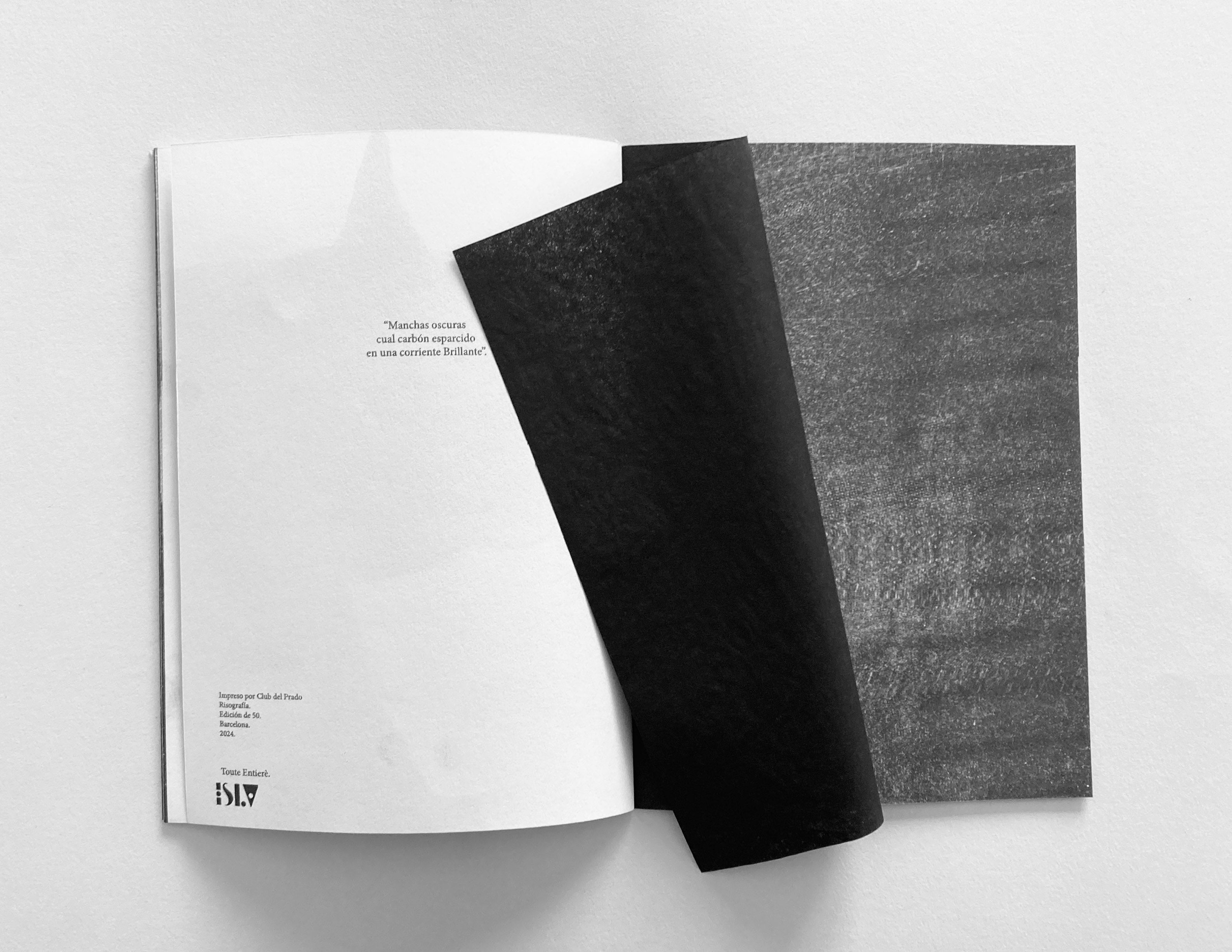 dubblefilm-books-toute-entiere-zine-riso-edition-50 image 2