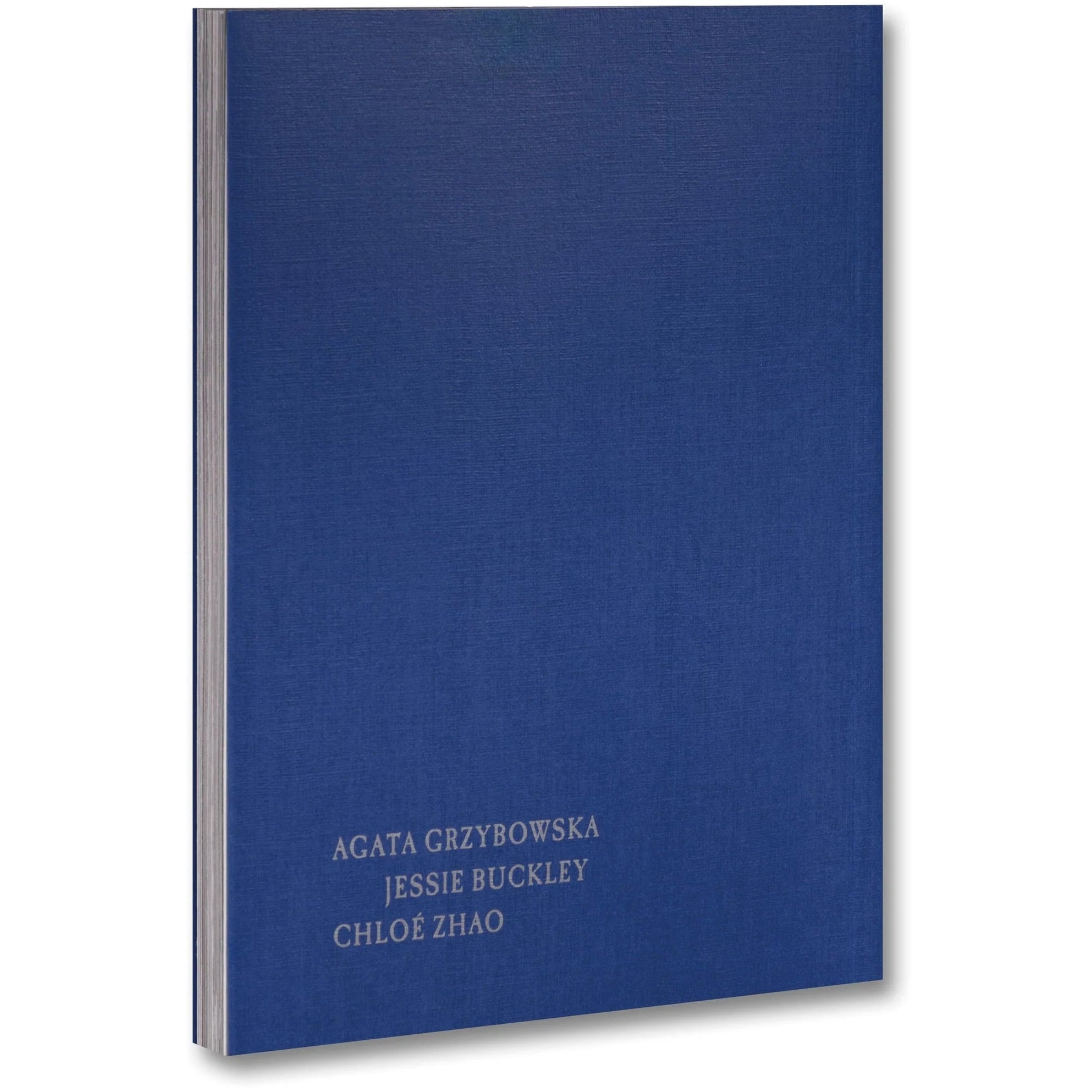 dubblefilm-even-as-a-shadow-even-as-a-dream-buch-hamnet image 2
