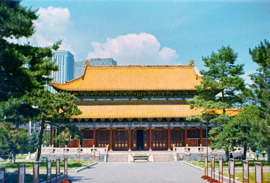 dubblefilm-fortuna-c200-110-farbfilm-24-bilder-iso-200 image 2