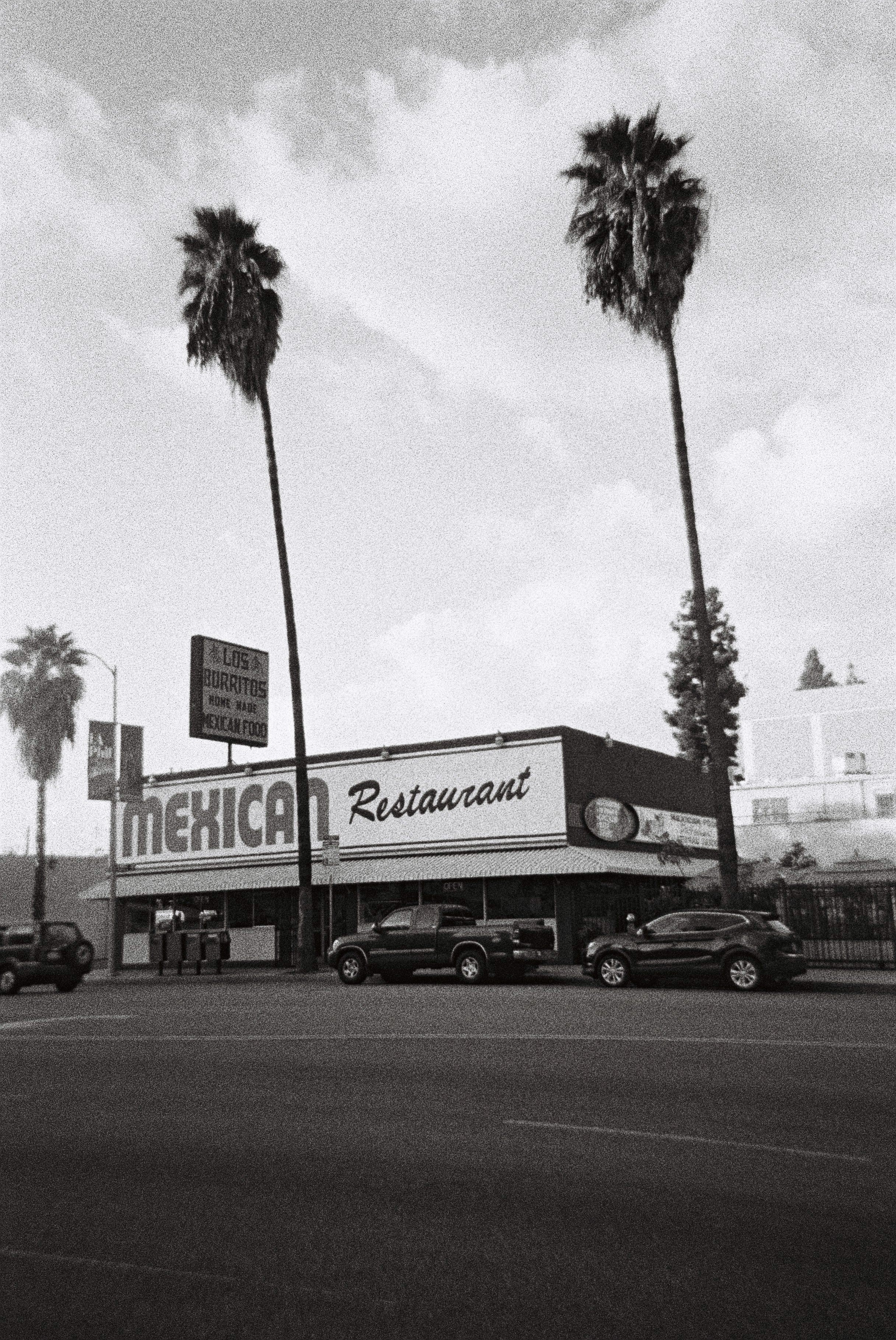 ilford-delta-3200-schwarzwei-film-35mm-low-light image 3