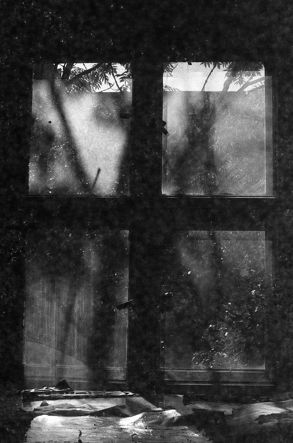 revolog-paper-35mm-schwarzwei-film-400-iso-36-au image 5