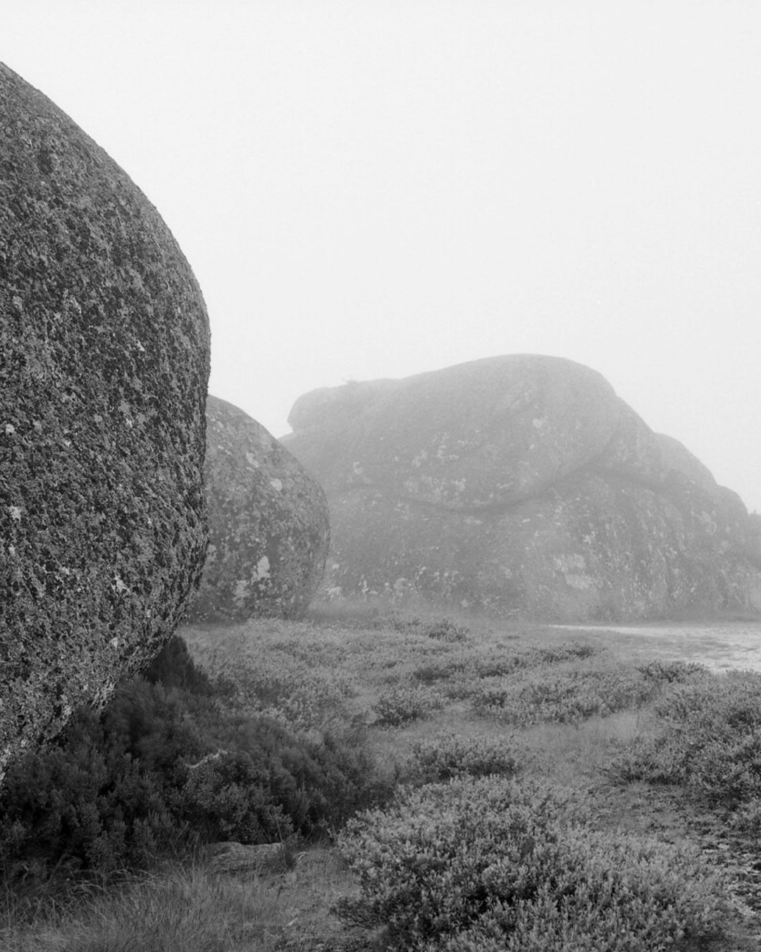 ilford-fp4-plus-125-schwarzwei-film-35mm-36-aufnahmen image 2