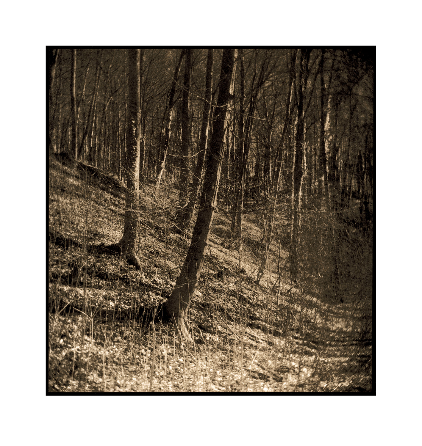 moersch-lith-omega-zweitbad-farbverst-rker-lith image 2