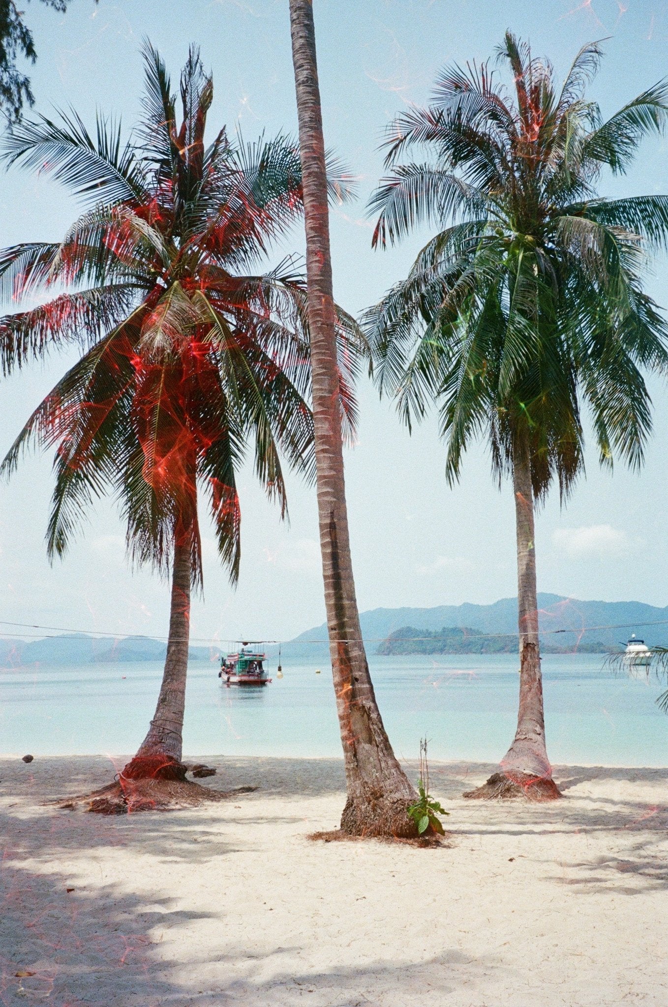 revolog-echo-effektfilm-35mm-36er-farbverschiebung image 5