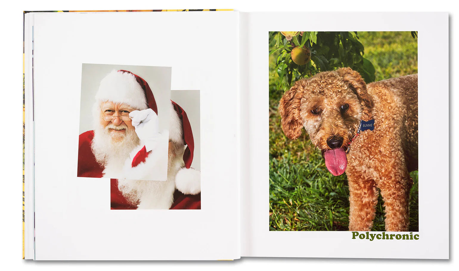 dubblefilm-policr-nico-americano-roe-ethridge-fotobuch-480-seiten image 7