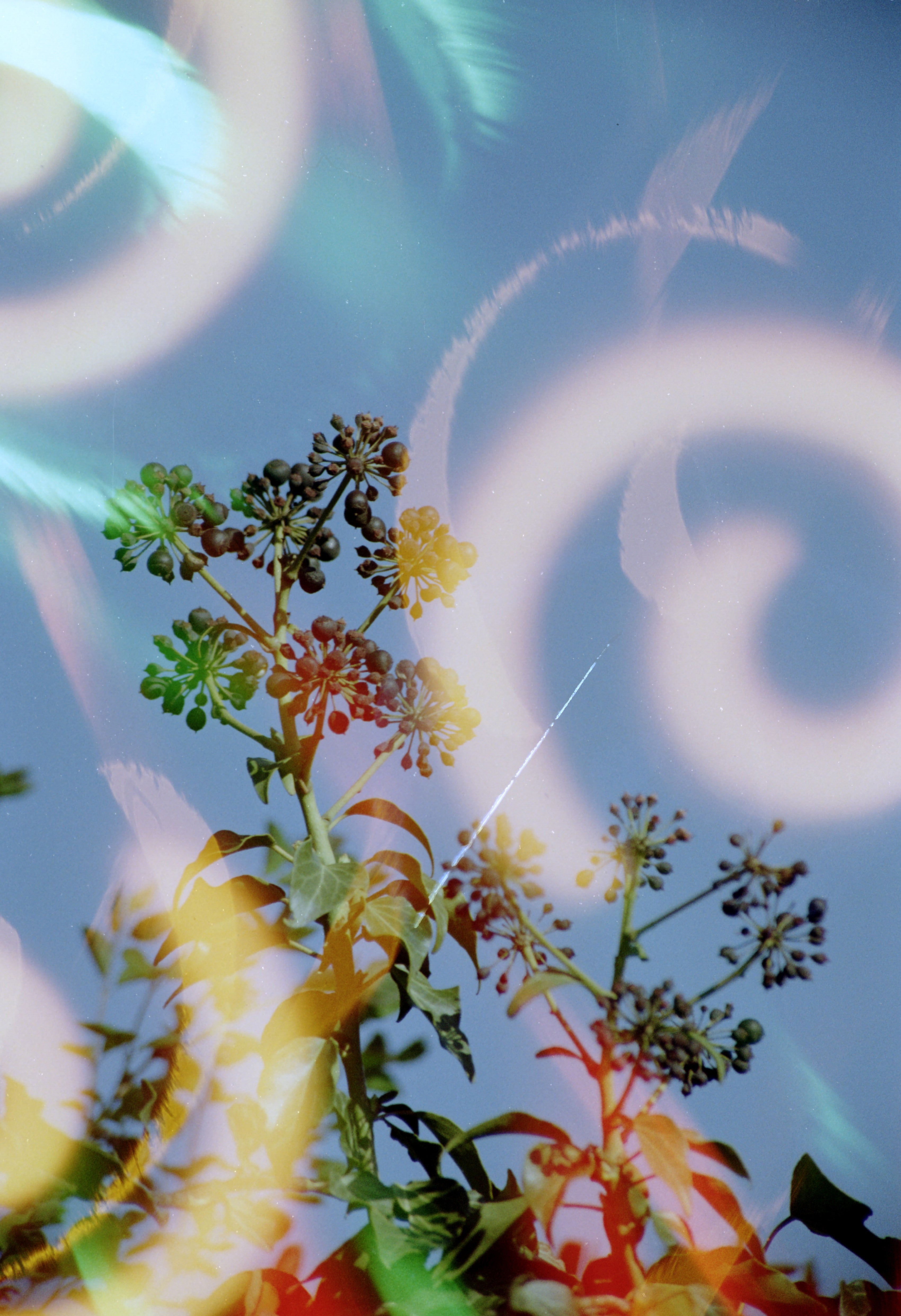 dubblefilm-hanalogital-spirals-35mm-effektfilm-vorbelichtet image 3