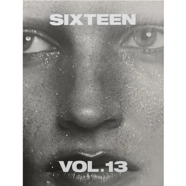 dubblefilm-sixteen-vol-13-magazin-golden-record-272-seiten image 1