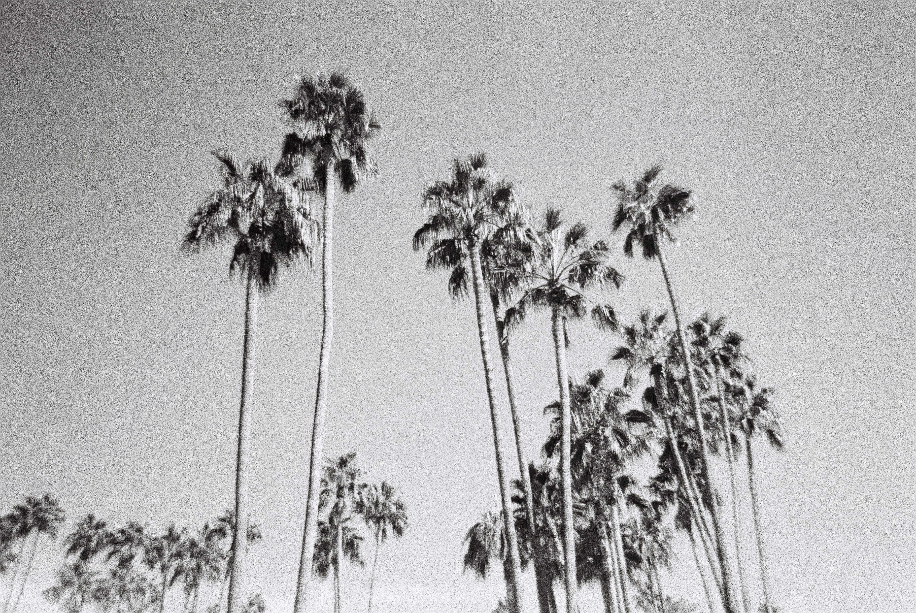 ilford-delta-3200-schwarzwei-film-35mm-low-light image 6