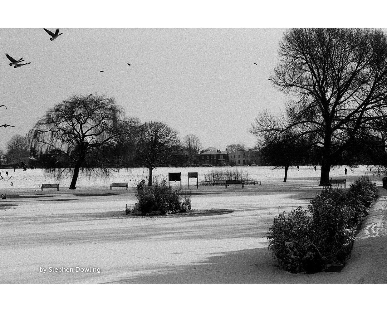dubblefilm-kosmo-foto-mono-100-schwarzwei-film-36-aufnahmen image 4