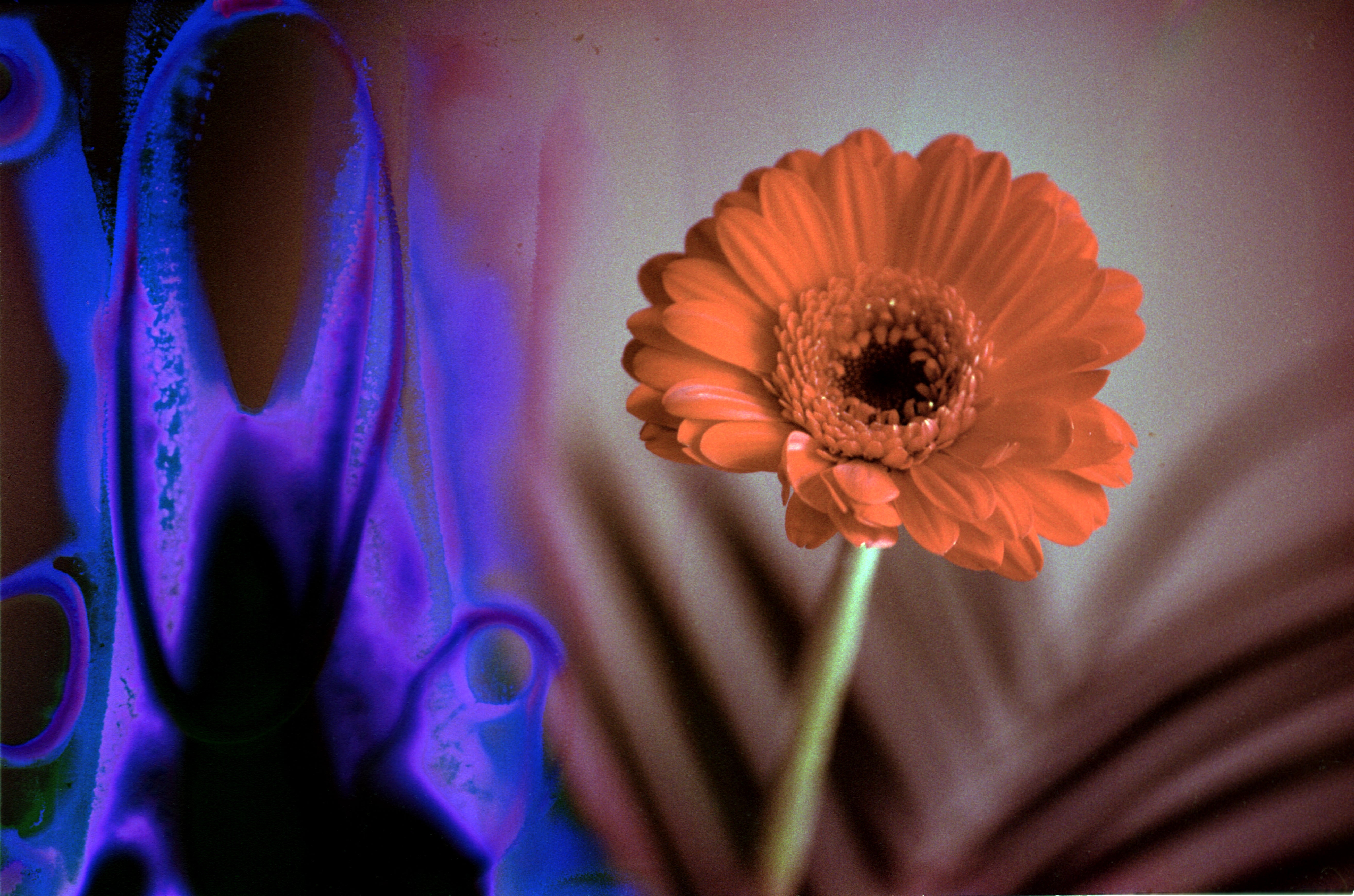 dubblefilm-hanalogital-charoite-35mm-effektfilm-film-soup image 3