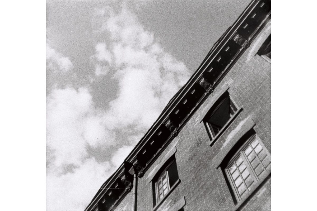 lomography-orca-100-110-film-schwarzwei-24-bilder image 2