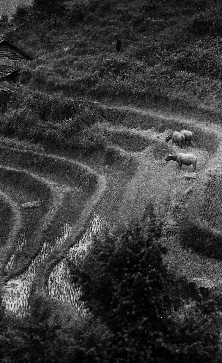 agfaphoto-lebox-schwarzwei-einwegkamera-36er-mit-blitz image 2