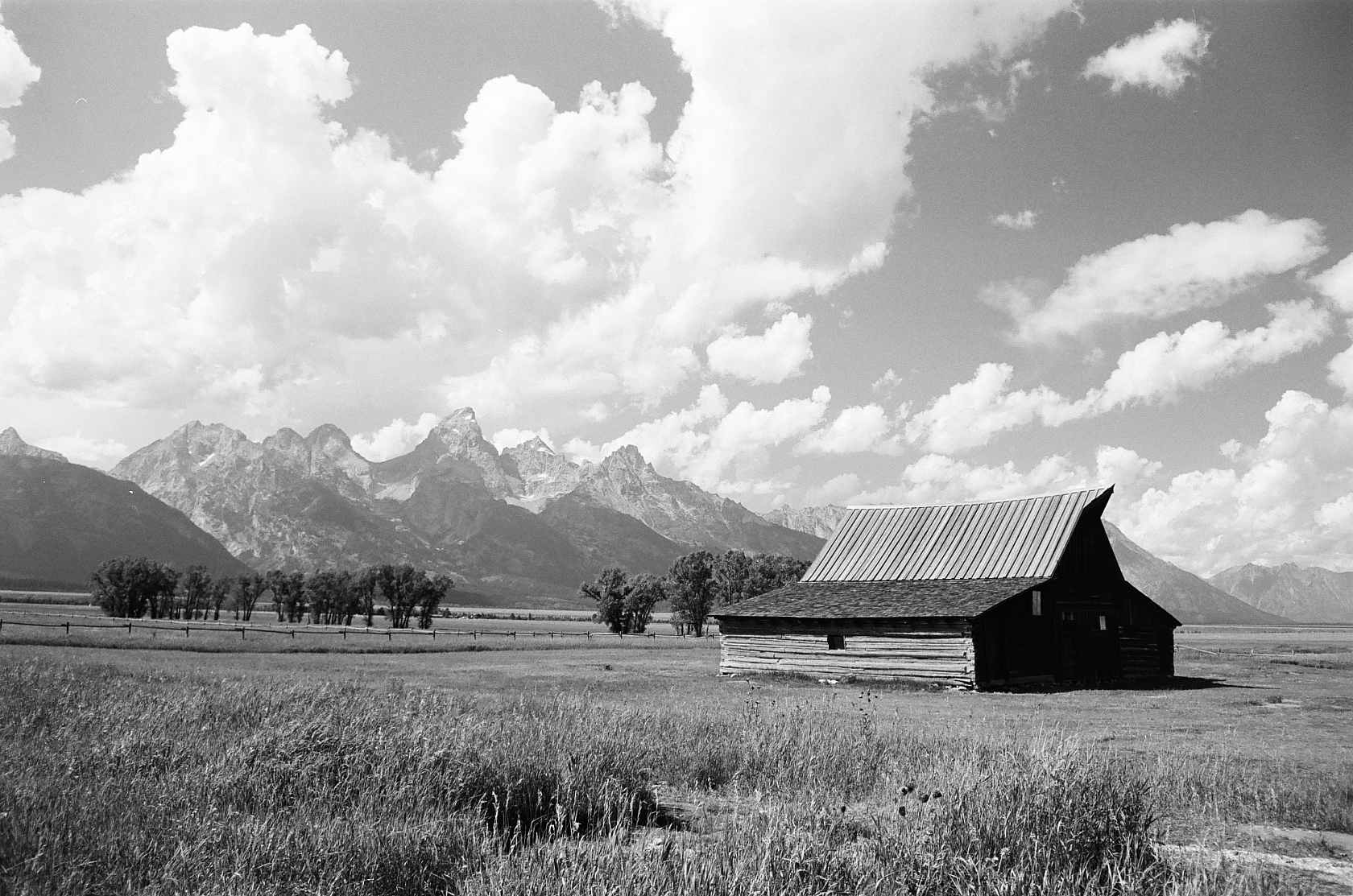 kodak-ektapan-100-schwarzwei-film-35mm-feink-rnig image 2