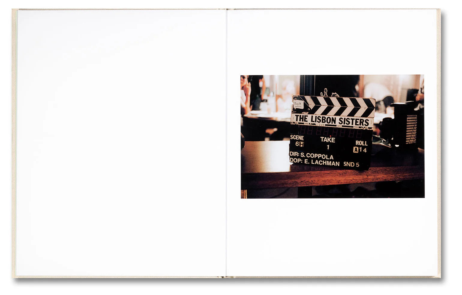 dubblefilm-the-virgin-suicides-sofia-coppola-bildband image 2