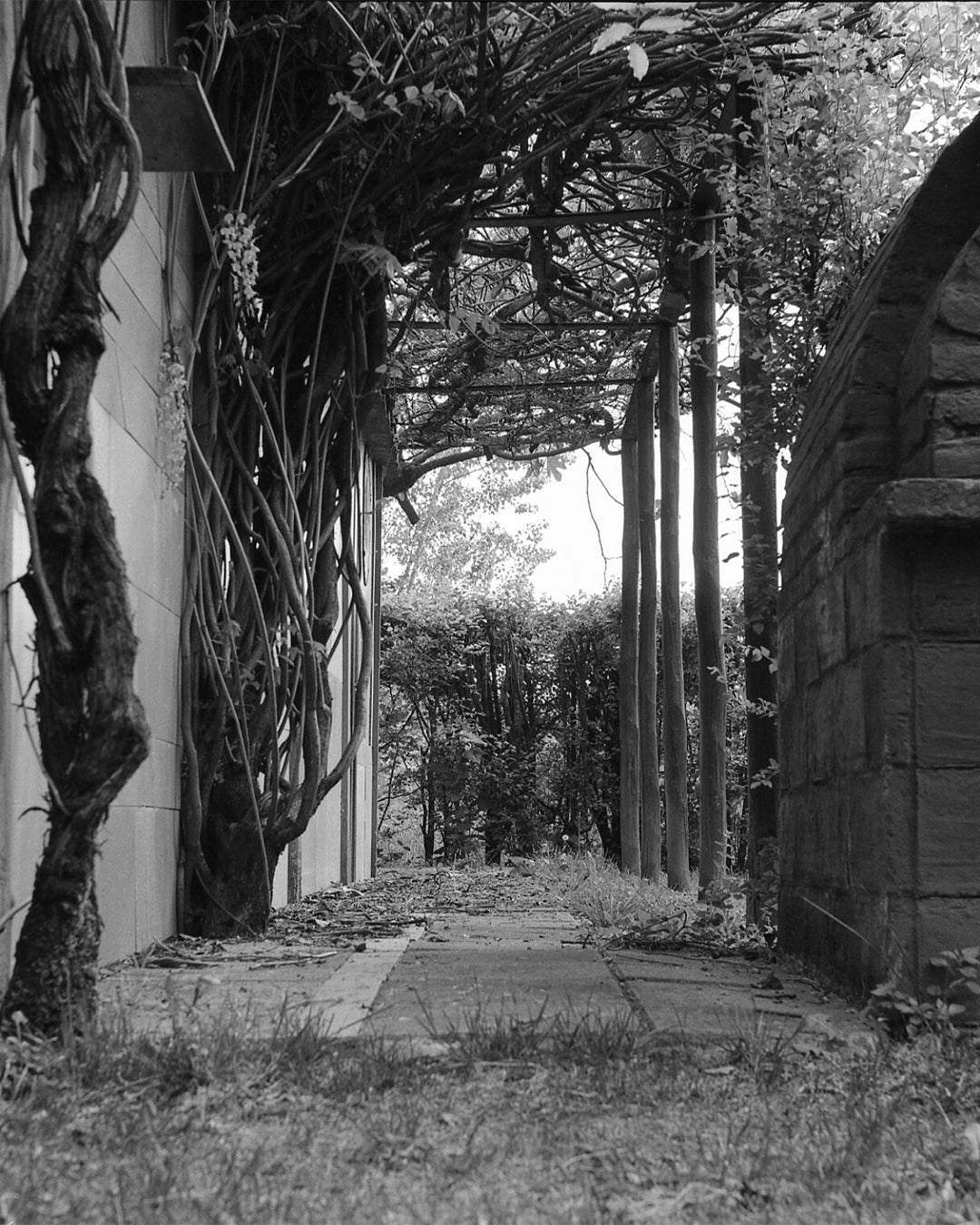 ilford-fp4-plus-125-schwarzwei-film-35mm-36-aufnahmen image 4